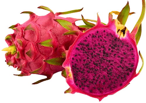 Fresh Dragon Fruit
